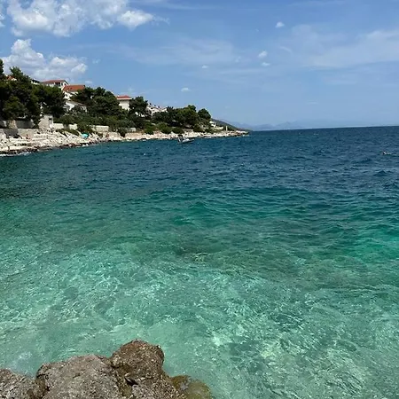 Anita Trogir
